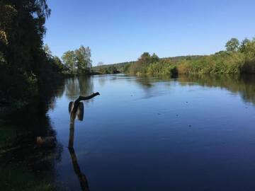 Фото номера Дом с 4 спальнями Загородные дома Kaimo turizmo sodyba Geras г. Leliūnai 68