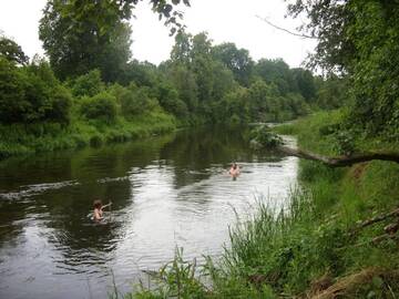 Фото номера Дом с 4 спальнями Загородные дома Kaimo turizmo sodyba Geras г. Leliūnai 66